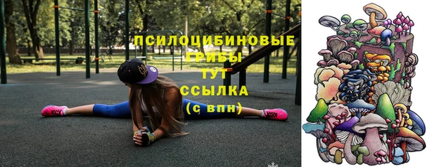 мяу мяу мука Карталы