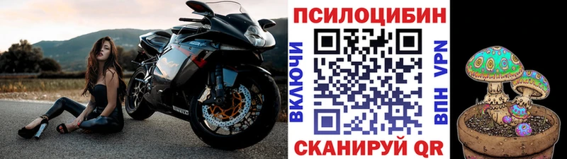 Купить где  Дигора  Галлюциногенные грибы MAGIC MUSHROOMS 
