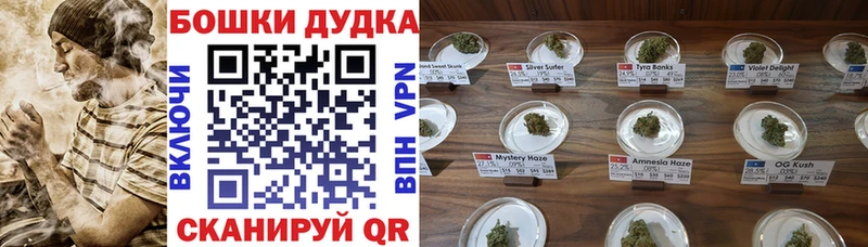 Купить где  Дигора  Марихуана марихуана 